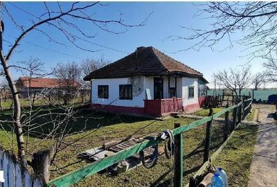 Casă cu 2 camere cu Teren 2920 Mp în Padina