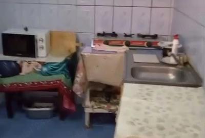 Teren de 668 mp, în Șotânga - 8