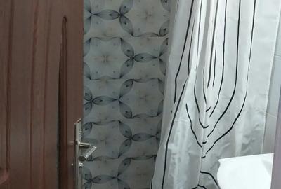 Vand apt 2 camere Snagov - 7