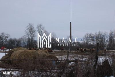 Teren de 8000 mp, în Ucea - 3