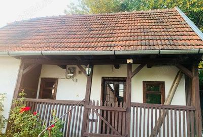 Casă cu 2 camere cu Teren 1500 Mp în Brazii - 3