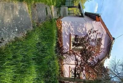 Casă cu 3 camere cu Teren 1195 Mp în Tinca - 9