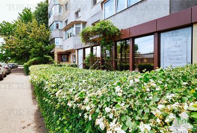 Spațiu comercial, de 37 mp, în Km 4-5 - 22