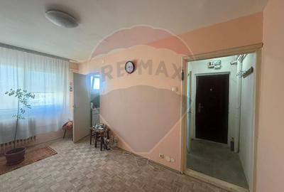 Apartament cu 2 camere semidecomandat în Valea Rosie - 5