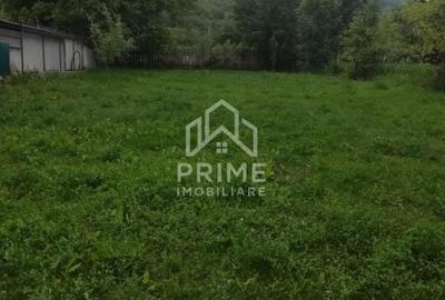 Casă cu 2 camere cu Teren 1032 Mp în Meteș - 5