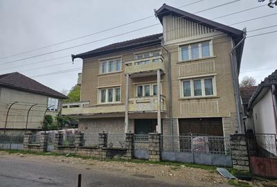 Casă individuală cu 10 camere în Izbuc