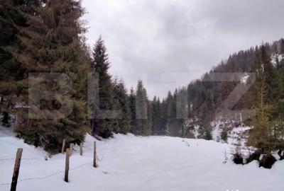 Casă cu 5 camere cu Teren 350 Mp în Deal - 8