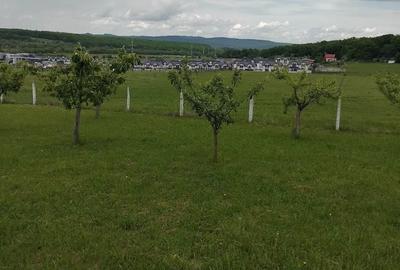 Spațiu comercial, în Cisnădie - 1