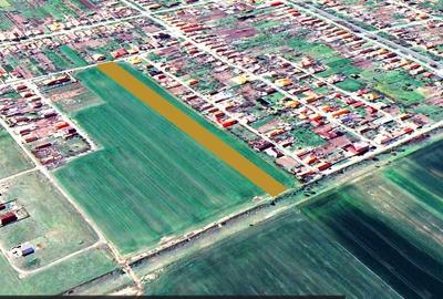 Teren Construcții intravilan de 7317 mp, în Zimandcuz - 1