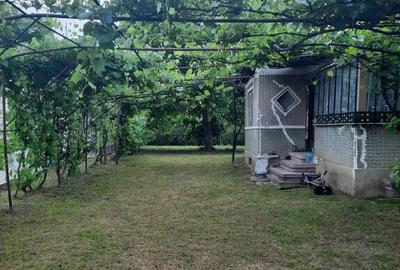 Teren intravilan, casa demolabila in Dumbravesti, Prahova - 7