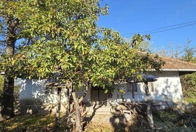 Casă cu 2 camere cu Teren 3500 Mp în Crasna - 1