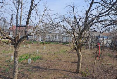 Casă cu 4 camere în Central - 3