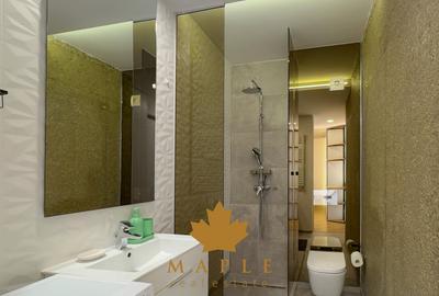 De inchiriat Apartament 2 camere Dinamic City Floreasca Barbu Vacarescu - 14