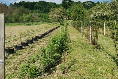 Teren de 2860 mp, în Central - 4