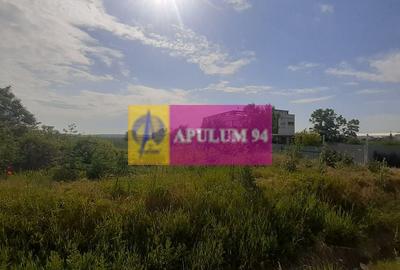 Teren perfect pentru deschiderea unei afaceri lângă București - 2