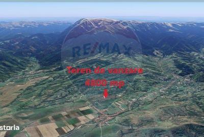 Spațiu comercial, în Tohanu Nou - 16