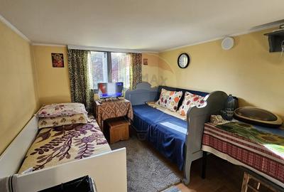 Casă / Vilă cu 3 camere de vânzare-Cacica-Suceava - 18