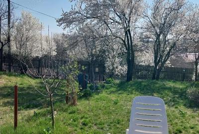 Casă cu 2 camere cu Teren 1265 Mp în Cartojani - 3