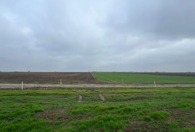 Spațiu comercial, în Berceni - 6