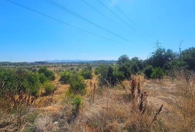 Teren intravilan 14.168 mp – pozitie excelenta la intrarea in Braila - 5