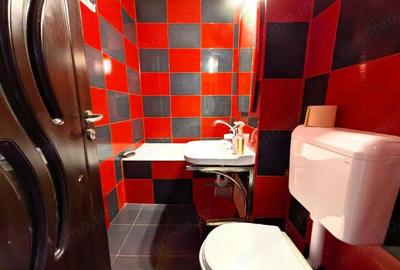 Banca Nationala, garsoniera mobilata si utilata, 260 euro - 1