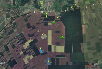 50 ha Sanpetru German - teren arabil categoria 1 - - 1