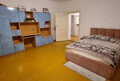 Casa de vanzare in Serbia, sat Vojvoda Stepa (10 minute de vama cu Jimbolia) - 10