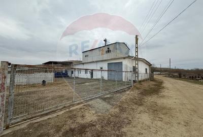 Moara Spatiu Industrial - 2