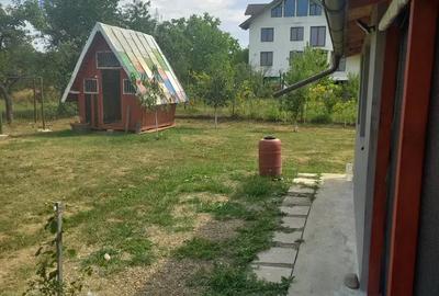 Vinzare cabana - 9
