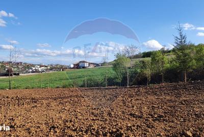 Spațiu comercial, în Spitalul Județean - 14