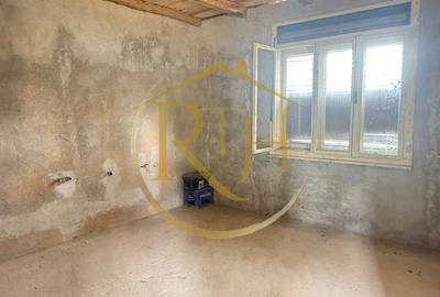 Casă individuală cu 6 camere cu Teren 2160 Mp în Balinț - 6