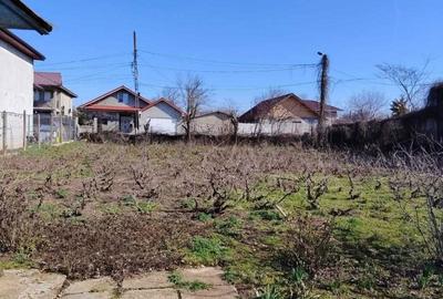 Spațiu comercial, în Limanu - 7