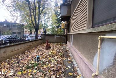 Spațiu comercial, în Agronomie - 3