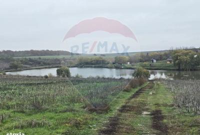 Teren de 129700 mp, în Iepurești - 2