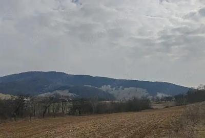 Teren 2282 mp, extravilan, localitatea Fasca, comuna Varciorog, jud. Bihor - 5