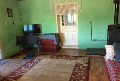 Casa de vanzare zona linistita - 4