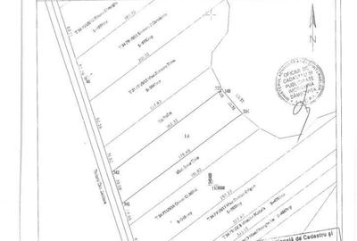 Spațiu comercial, în Bolovani - 6