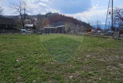 Teren Construcții intravilan de 1520 mp, în Hangu - 14