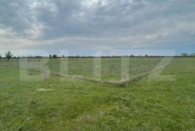 Teren de 695 mp, în Moșnița Nouă - 3