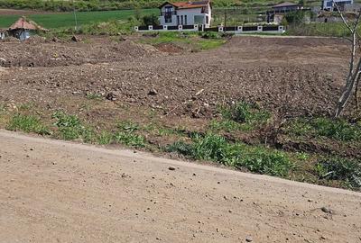 Teren de 500 mp, în Sâncraiu de Mureș - 2