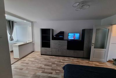 Garsonieră semidecomandată în Timișoara - 3