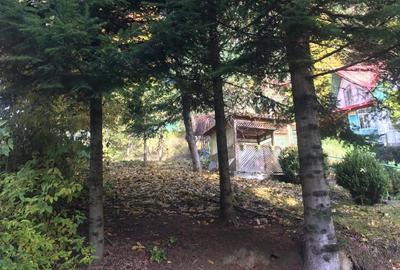 Casa si teren 1000 mp, Sinaia, zona excelenta, pe Furnica, langa Peles - 5