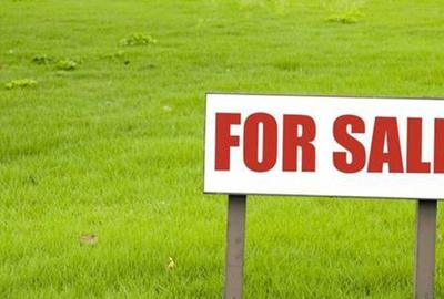 Teren de 5200 mp, în Horodnic - 2