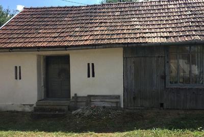 Casă cu Teren 6500 Mp în Dretea - 10