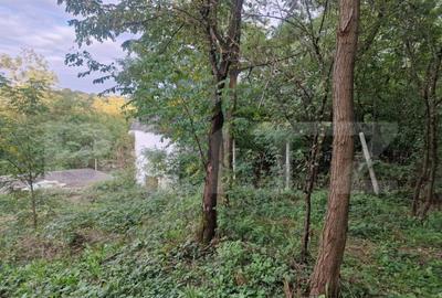 Teren de 79000 mp, în Central - 15