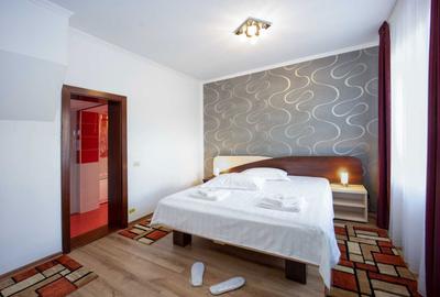 Spațiu comercial, de 120 mp, în Predeluț - 3