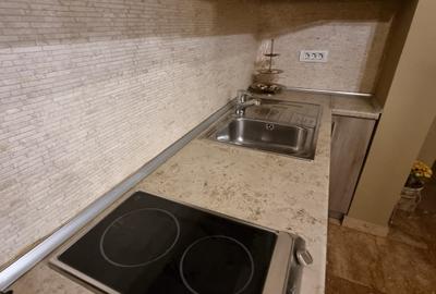 Apartament cu 2 camere decomandat, mobilat în Nerva Traian - 18