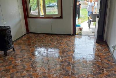 Casă cu Teren 1100 Mp în Ocolișu Mare - 9