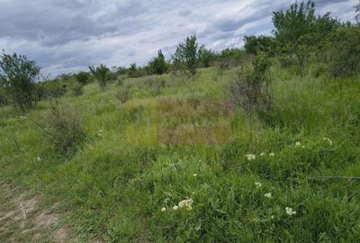 Teren Construcții intravilan de 3750 mp, în Giulești - 48