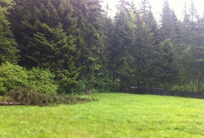 Teren intravilan Cotul Donului,pretabil Hotel/pensiune. - 9